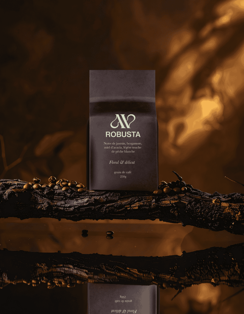 Chocolat artisanal Robusta avec saveurs de café et épices, présenté sur une branche sombre.