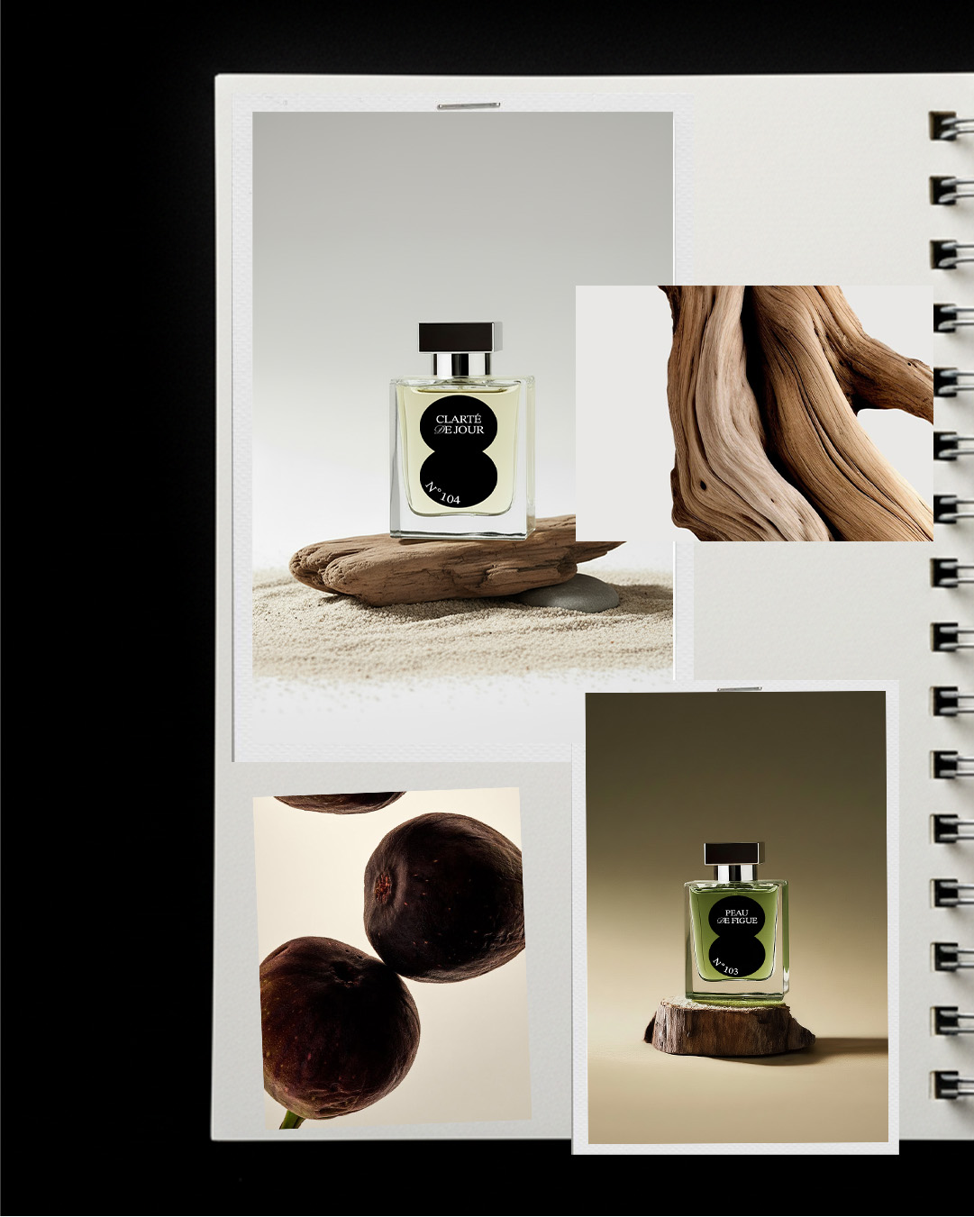Recherche créative et moodboard pour création de marque parfum luxe SYLENA par Studio Micheline
